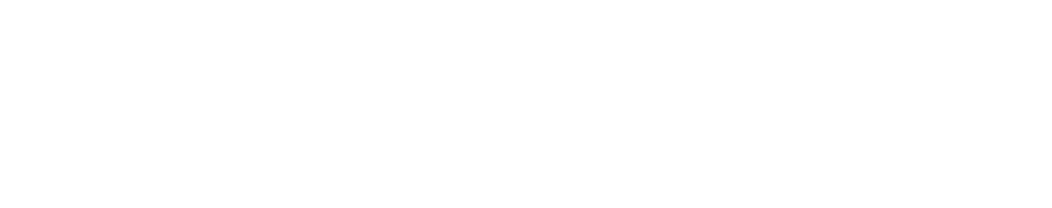 TAX VISION & SERVICES SA